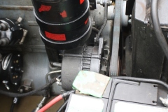 IMG_5486