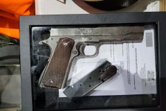 expensive_colt